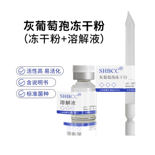 灰葡萄孢冻干粉冻干粉SHBCC