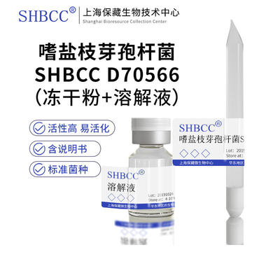 shmcc嗜盐枝芽孢杆菌肉汁琼脂