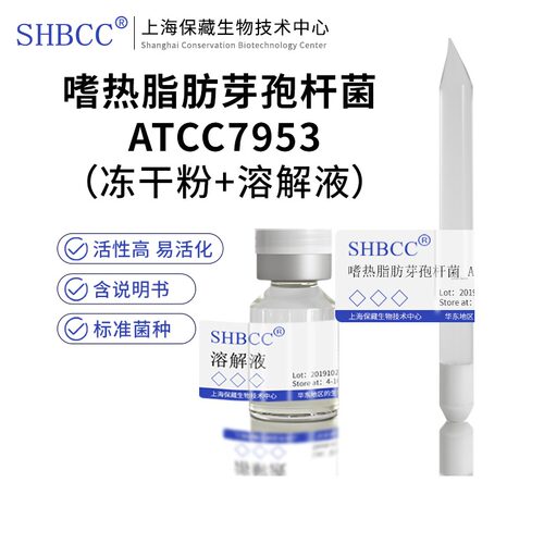 嗜热脂肪芽孢杆菌ATCC7953SHBCC