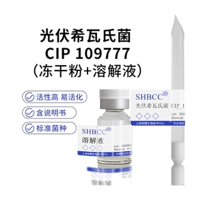 包邮 冻干粉 光伏希瓦氏菌 CIP 109777 0代菌种