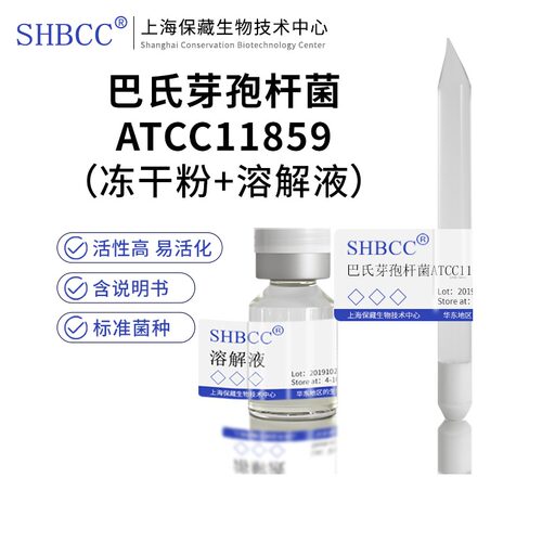 巴氏芽孢杆菌ATCC11859产脲酶