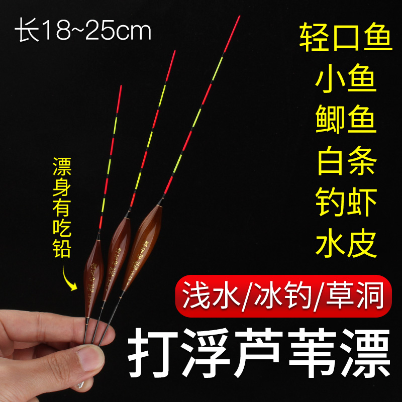 碳化芦苇浅水漂黑坑打浮专用短漂水皮草洞鲫鲤鱼漂高灵敏冰钓浮漂