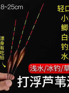 碳化芦苇浅水漂黑坑打浮专用短漂