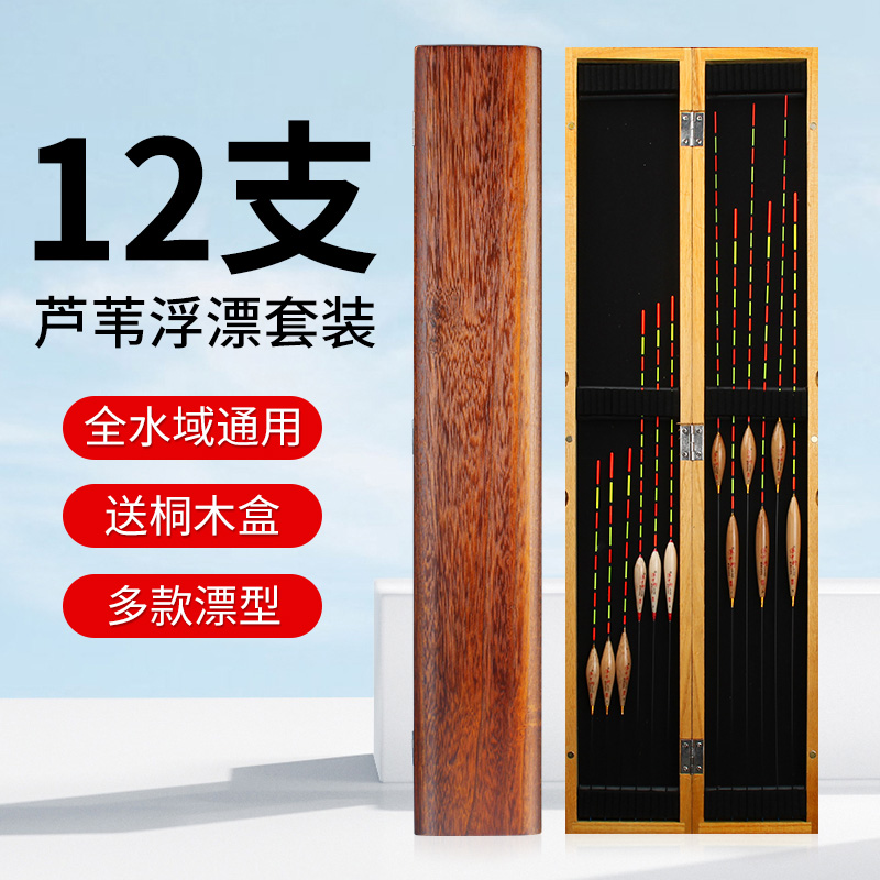 12支芦苇浮漂套装全套鱼漂加漂盒