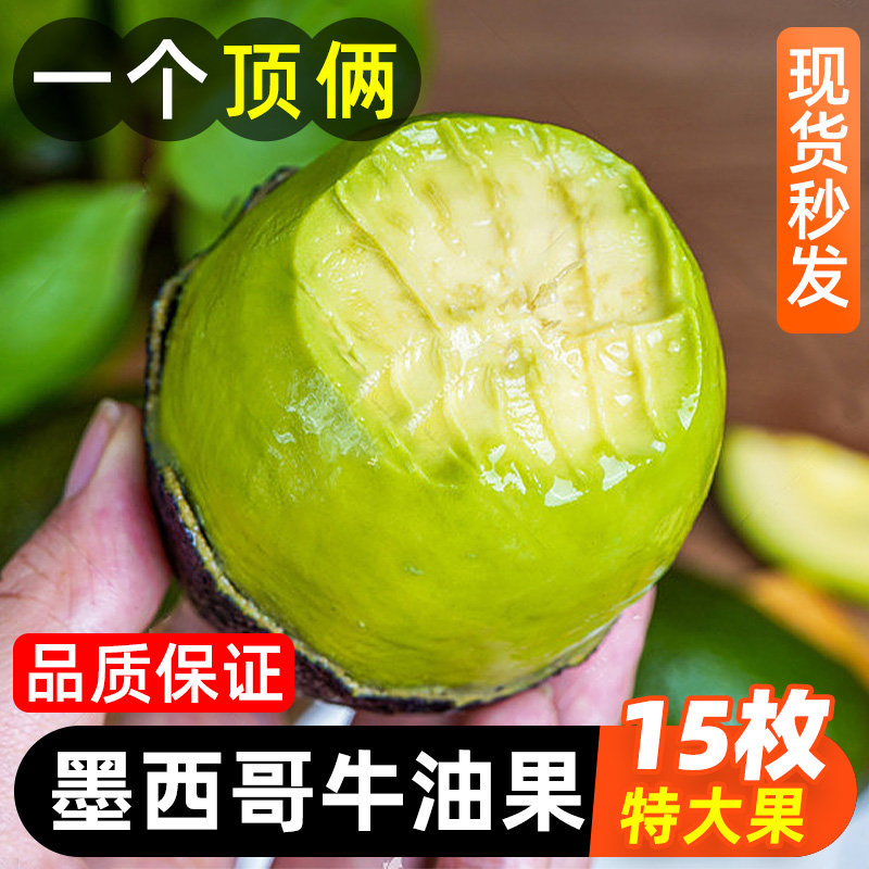 墨西哥牛油果水大果新鲜进口巨无霸宝宝辅食鳄梨10个速发avocado 水产肉类/新鲜蔬果/熟食 牛油果 原图主图