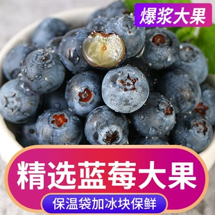 包邮 秘鲁进口蓝莓新鲜当季 水果蓝梅鲜果高山怡颗甜莓孕妇大果整箱