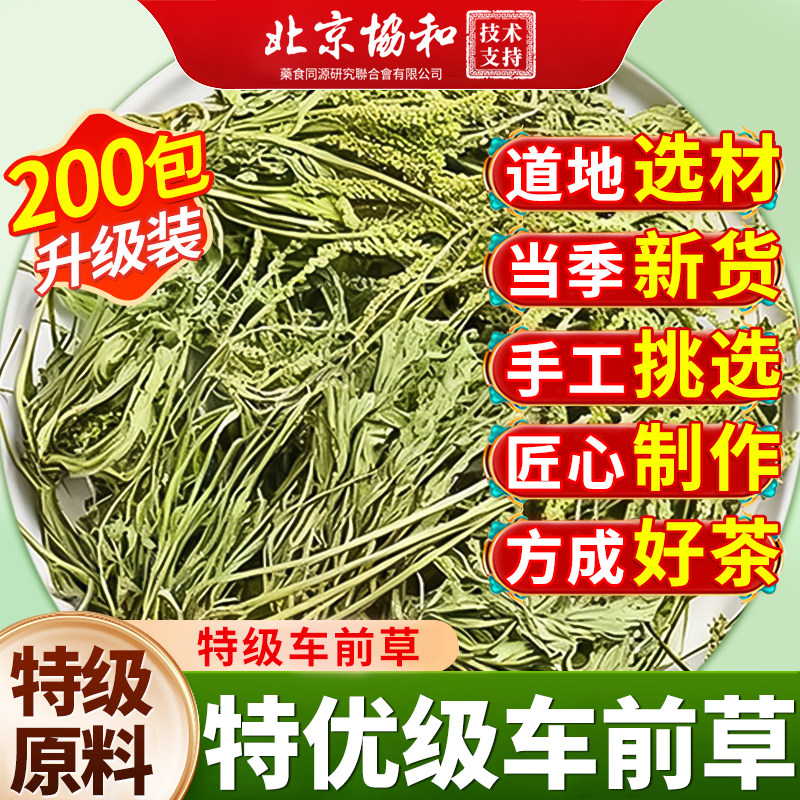 车前草中药材泡水喝的功效与作用风野尿生酸新鲜痛袋泡养生茶包降,传统滋补营养品,其他药食同源食品,淘宝优惠券,粉丝福利购,淘宝优惠卷