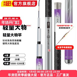 剑冈名满天下预见领主轻量大物超轻硬碳素鲢鳙青鱼鲤鱼草鱼竿鱼竿