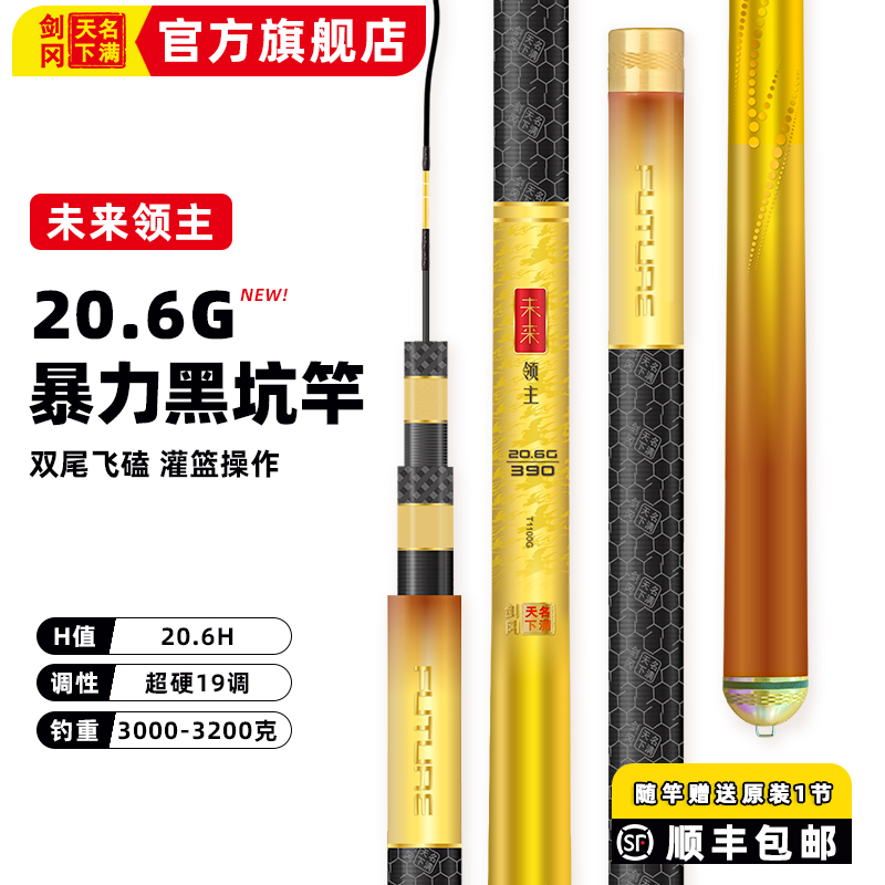 名满天下未来领主20.6G黑坑竿