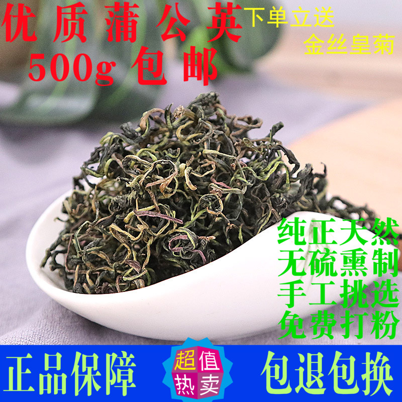 蒲公英茶正品中药材婆婆丁茶泡水