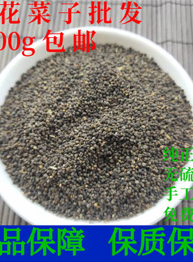 白花菜子白花菜籽中药材药用正品
