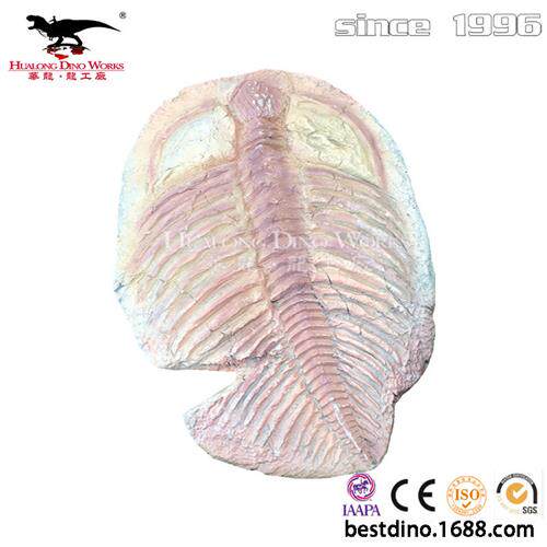 自贡恐龙工厂仿真恐龙化石动物化石骨架纯手工制作高度仿真