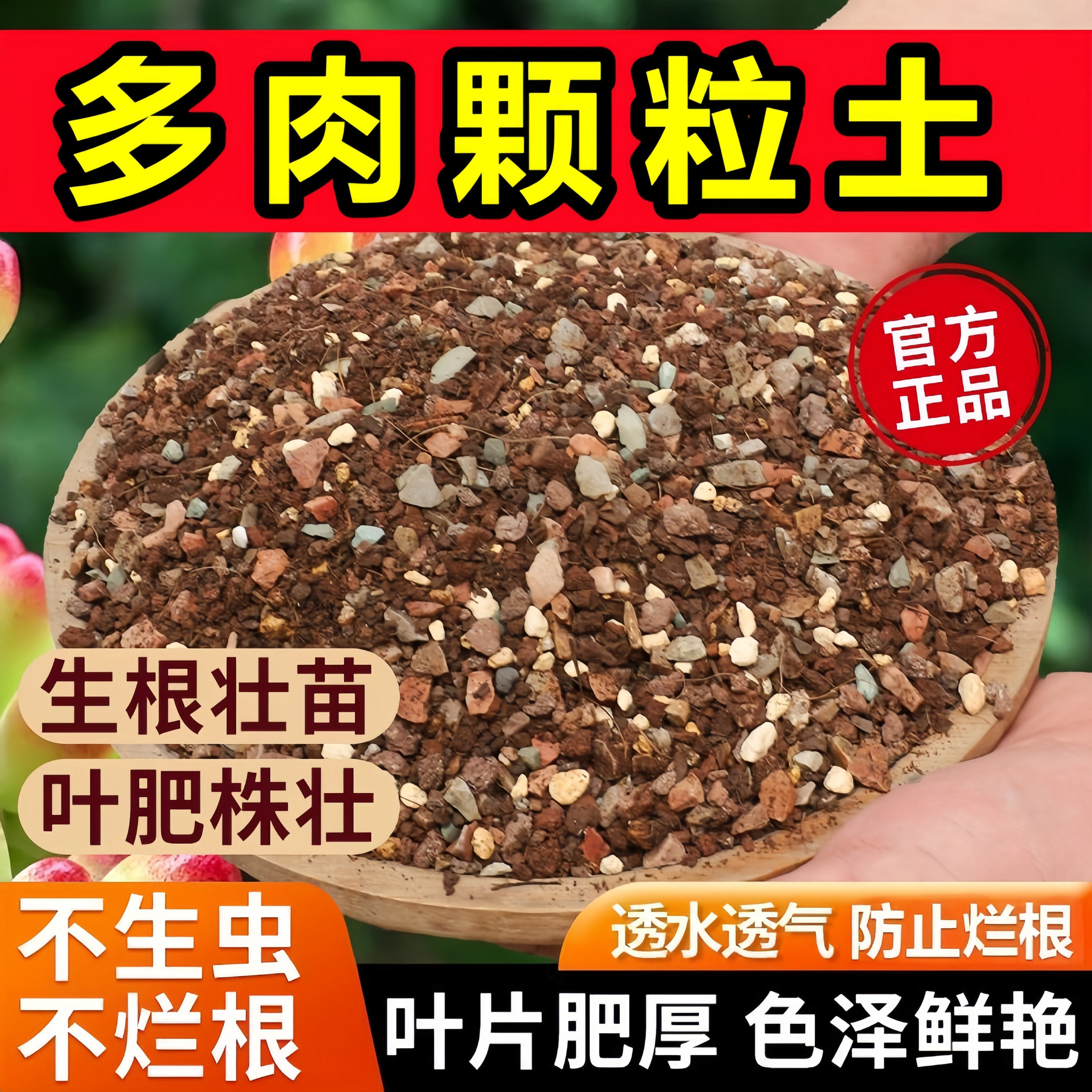 多肉植物专用颗粒营养土壤铺面透配方介质/营养土