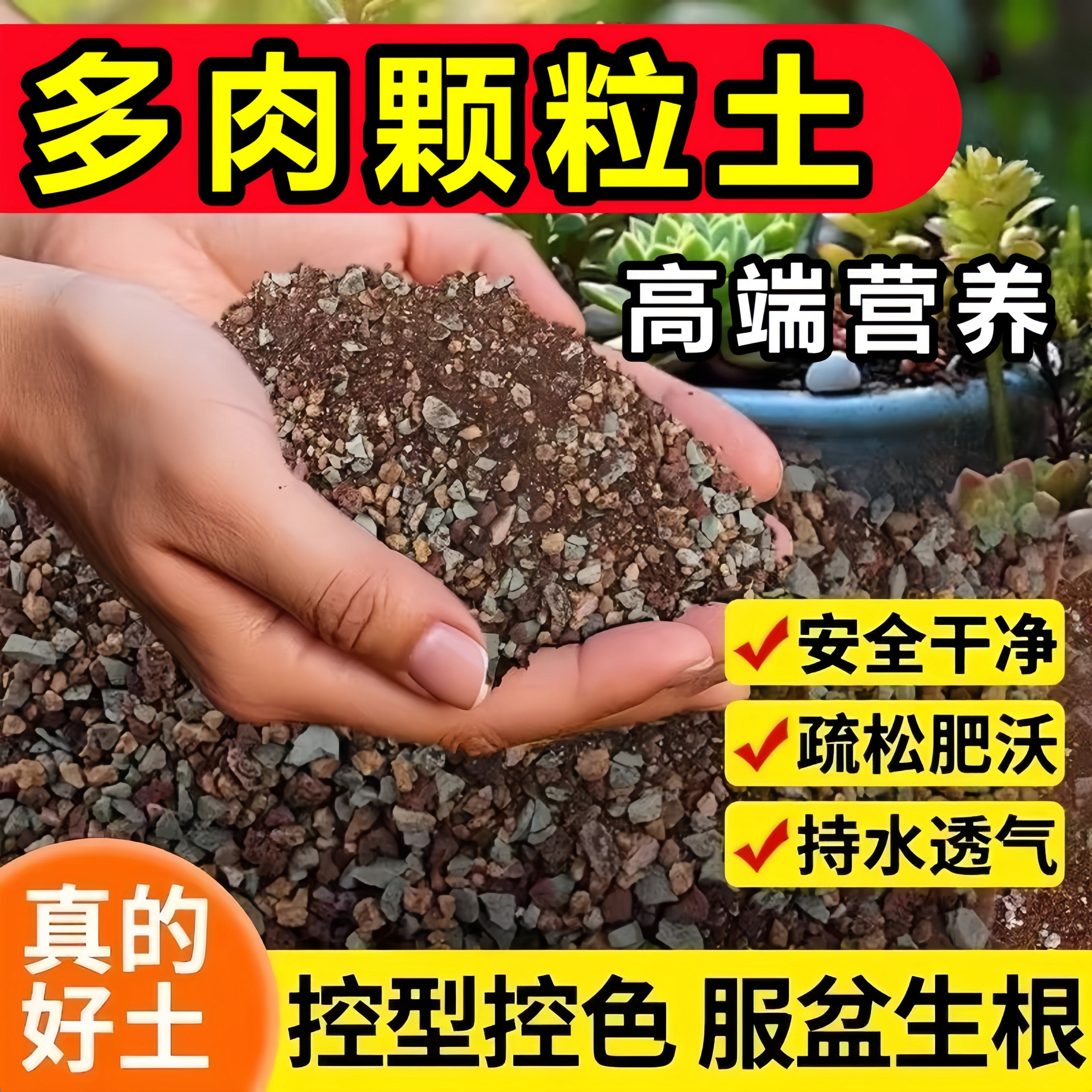 多肉植物专用颗粒营养土壤泥炭种植土进口基质叶插扦插小苗纯老桩