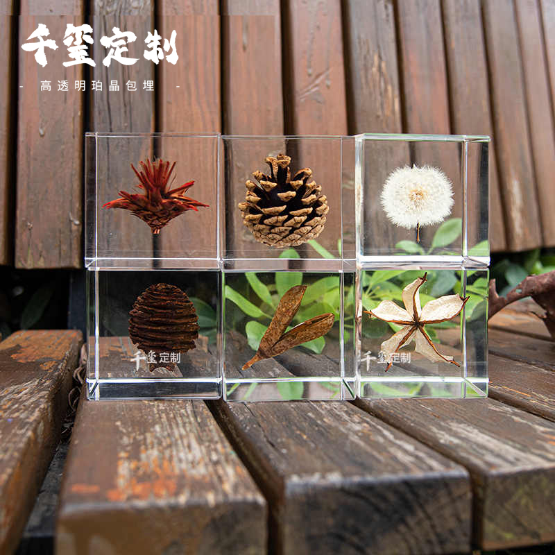 轻奢装饰品植物标本透明树脂