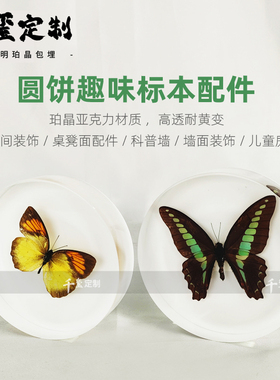 千玺定制 圆形蝴蝶标本昆虫标本树脂儿童房装饰配件趣味