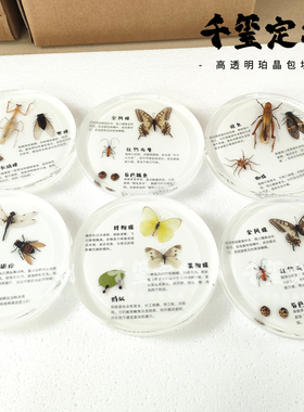 100种昆虫摆件探索游乐园摆件森林木头圆形树脂标本户外环创售楼