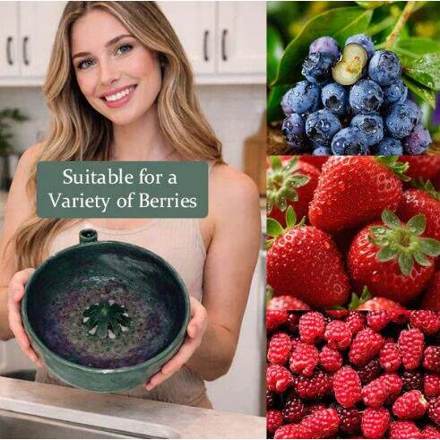 跨境新品--The Berry Swirl Bowl浆果漩涡碗令人满意的冲洗方式
