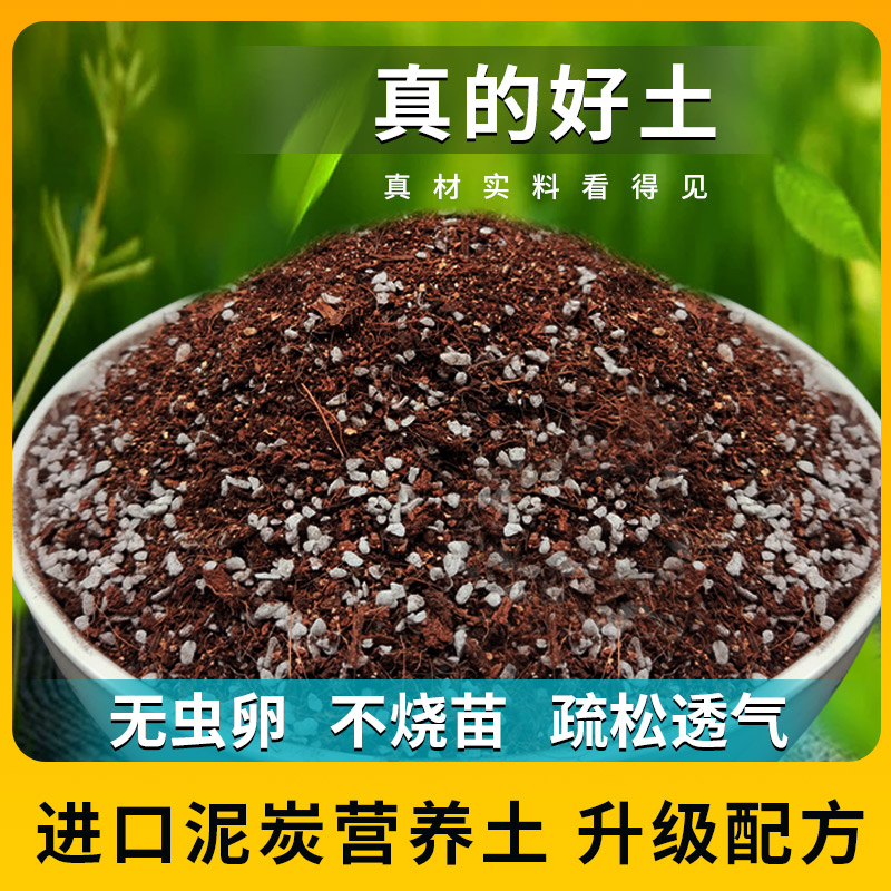 草莓专用土有机营养土通用型绿植花卉泥炭土家庭园艺土多肉种植土