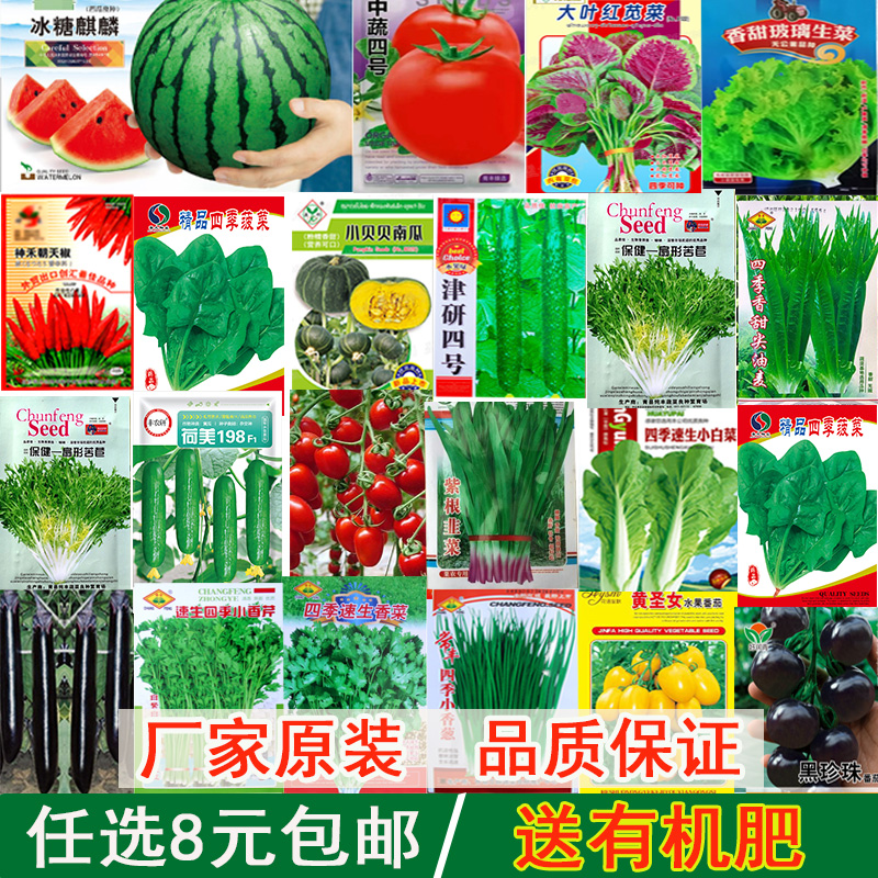 蔬菜种子阳台四季盆栽种植草莓小番茄水果种子青菜小菠菜籽大全