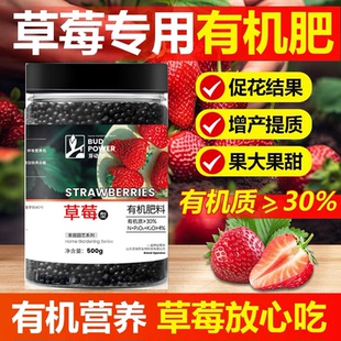 草莓专用肥料家用缓释肥盆栽有机肥复合肥开花结果平衡肥施肥化肥