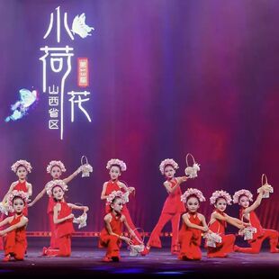 少儿舞蹈表演服女童舞蹈古典舞簪花入梦原创发饰簪花儿童演出道具