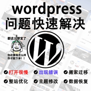 wordpress问题解决/搭建/迁移协助/网站出现错误