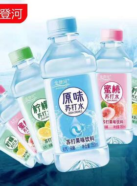 五种口味混装金登河苏打水整箱350ml*12瓶无糖无气弱碱性清爽解渴