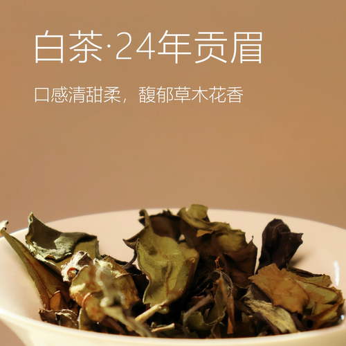 24年贡眉白茶40g花香清甜回甘