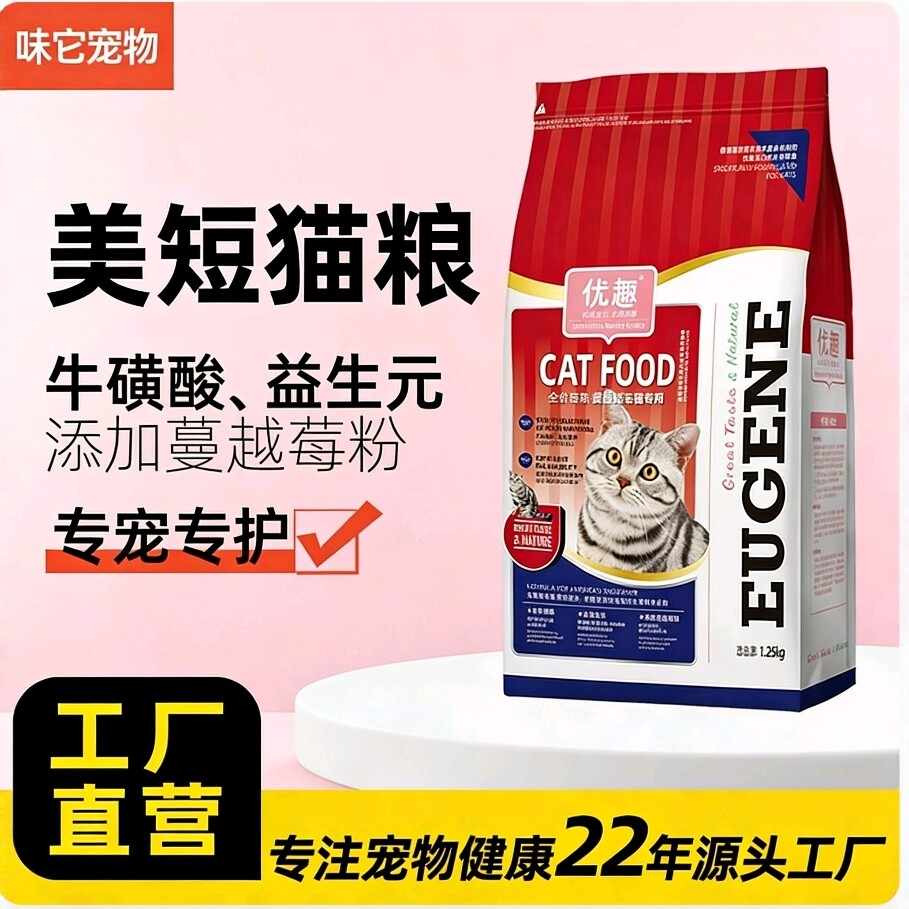 优趣美国短毛猫全期猫