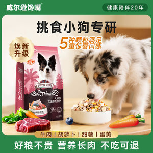 威尔逊馋嘴边境牧羊犬专