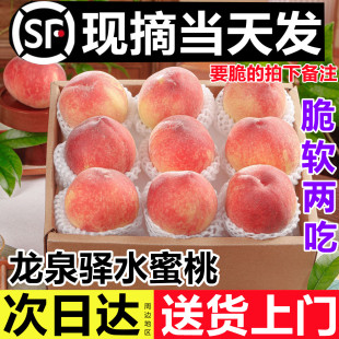 四川龙泉驿水蜜桃脆软两吃现摘应季孕妇水果撕皮毛桃大果礼盒顺丰