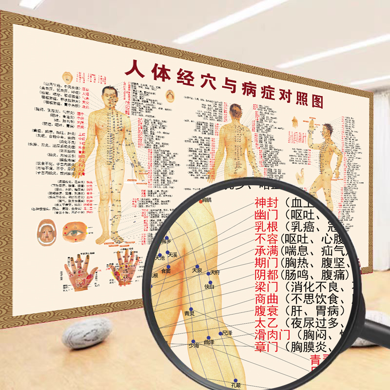 人体经络穴位图标准大挂图海报
