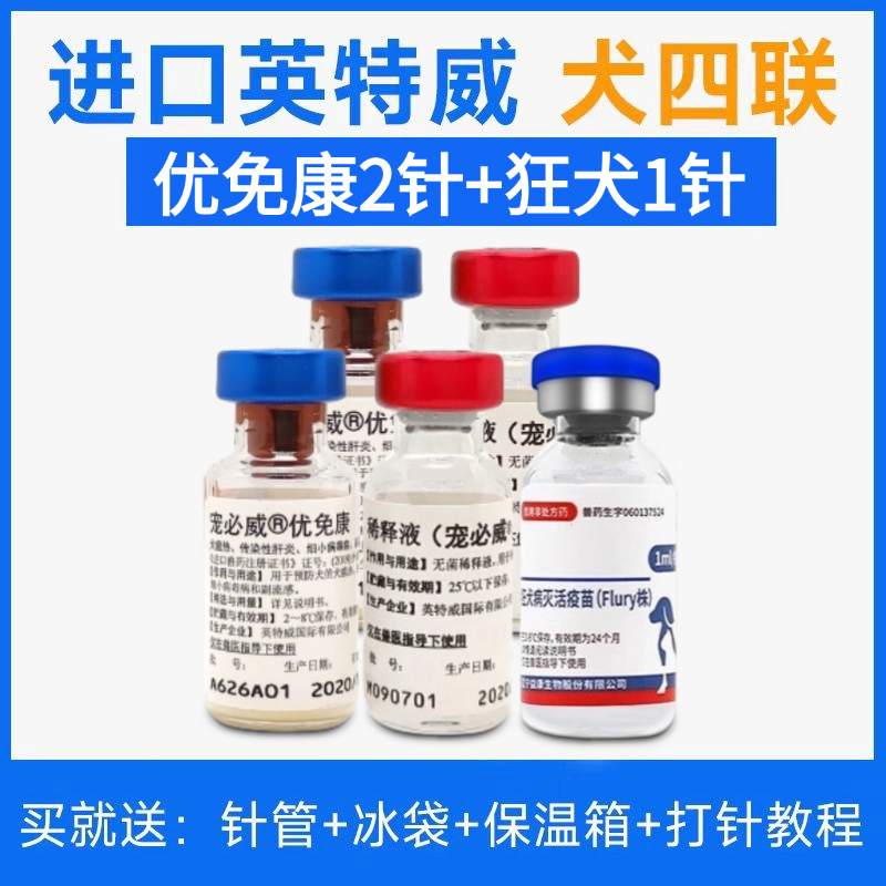 进口英特威幼犬成犬狗疫苗宠必威四联六联每年加强狂犬防疫针兽用