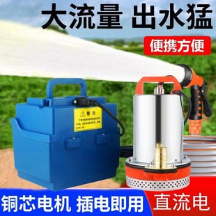 家用电动车抽水浇菜水泵 户外充电式 12v直流小型潜水泵Y60伏大电