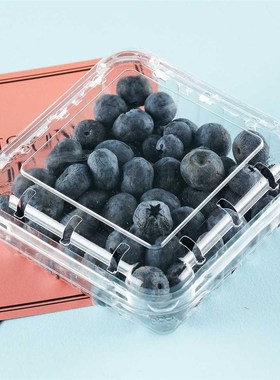 石图里蓝莓盒水果包装盒puet材质超市透明有盖蓝莓生鲜水果捞托盘