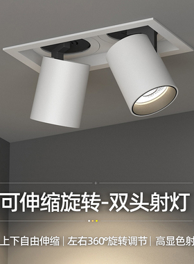 双头可拉伸式射灯led嵌入式可调角度旋转斗胆灯象鼻灯伸缩cob两头