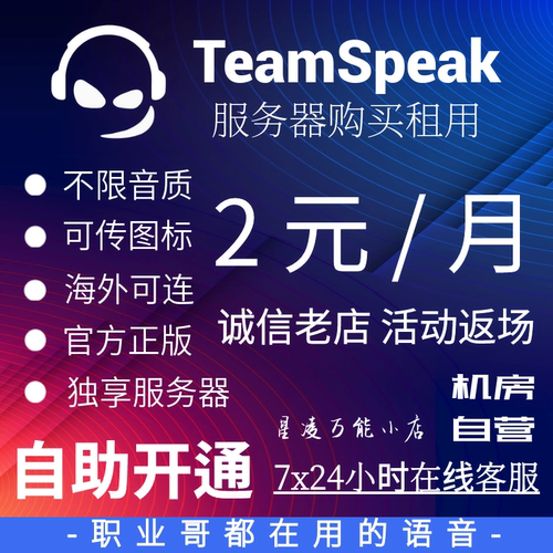 TeamSpeak 3服务器购买租用 TS3服务器 低延迟低占用游戏开黑语音