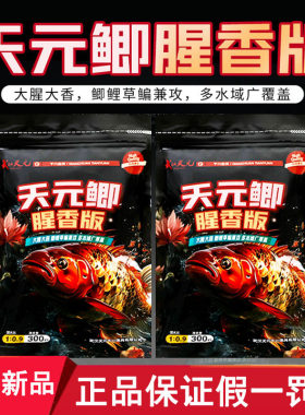 武汉天元邓刚同款天元鲫腥香版鲫鱼饵料秋冬季野钓垂钓鱼鱼饵鱼食