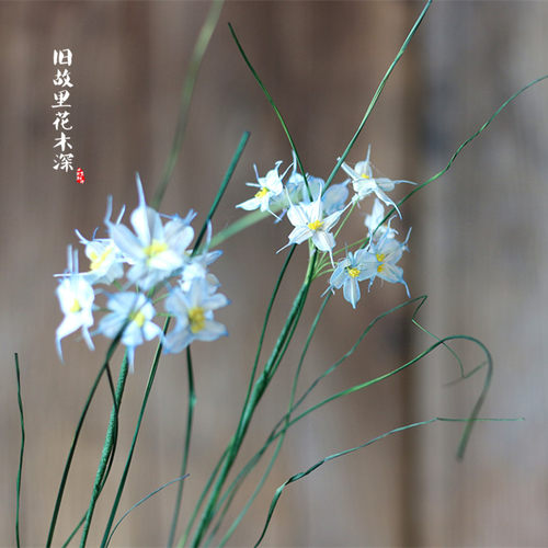 蓝雪花植物手工花家居客厅插花
