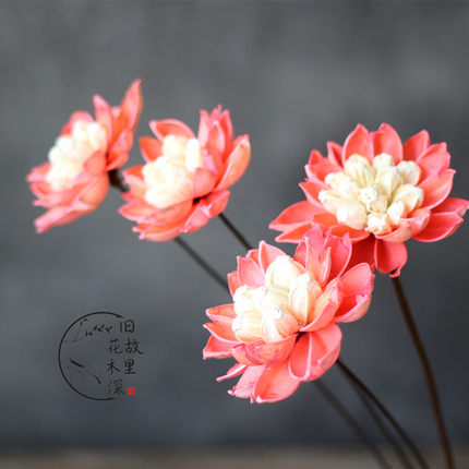 【雨蝶莲】天然家居店铺酒吧客厅餐厅装饰艺术干花花插莲花荷花大