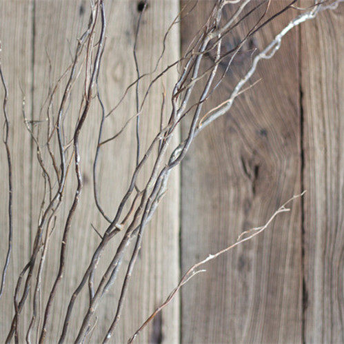 龙柳干花树枝自然家居装饰摆设艺术干花干枝拍摄道具龙柳枝曲柳