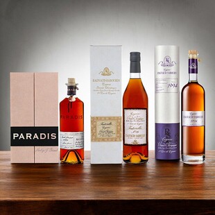 赛博灵RAGNAUD SABOURIN原瓶进口法国大香槟区1994干邑白兰地洋酒