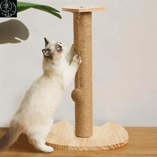 catscrhbodilmnfep