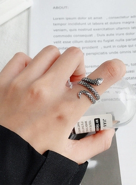 蛇形戒指女小众设计感精致银色蛇头指环冷淡风高级潮食指戒