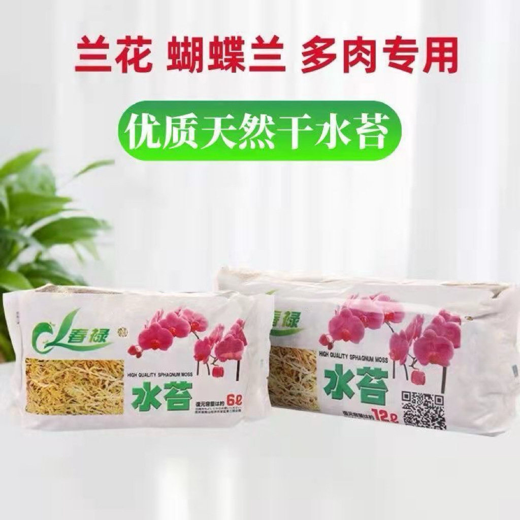 毛毛虫水苔蝴蝶兰专用水苔七星干苔藓兰花营养土苔藓植料