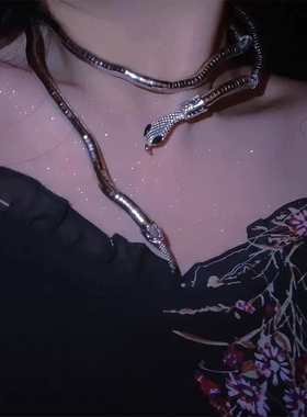 「银蛇衔尾」欧美朋克高街蛇形项链女甜酷小众金属亚比配饰锁骨链