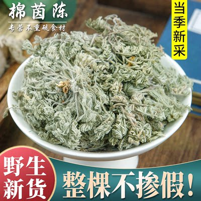 茵陈500g山西白篙新鲜非中药材