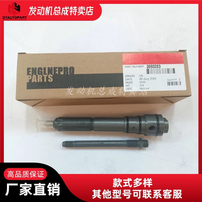 高品质耐用柴油喷油器3093283