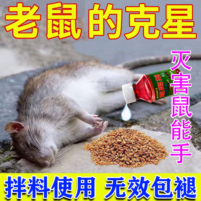 2025新款超强老鼠母液商用灭鼠